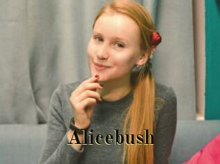 Alicebush