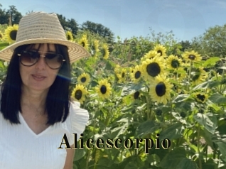 Alicescorpio
