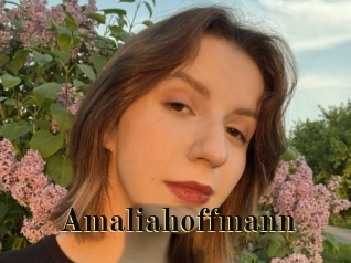 amaliahoffmann Films 2 Q