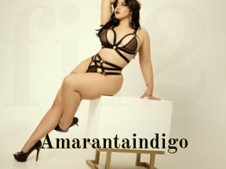Amarantaindigo