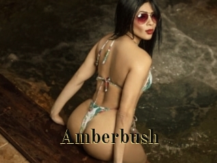 Amberbush