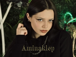 Aminaklep