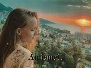 Amismett