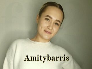 Amitybarris