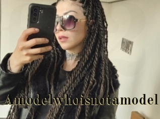 Amodelwhoisnotamodel