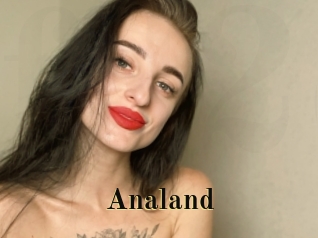 analand Films 2 Q