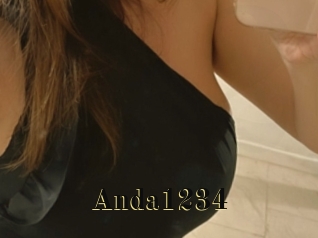 Anda1234