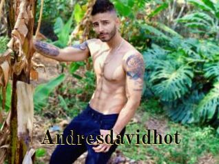 Andresdavidhot
