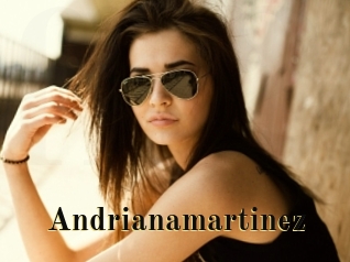 Andrianamartinez
