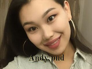 Andy_pnd
