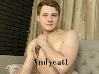 Andycatt