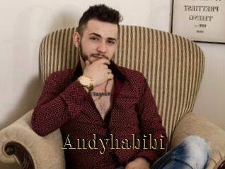 Andyhabibi