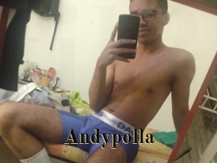 Andypolla
