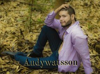 Andywatsson