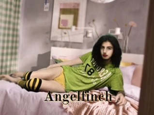 Angelfinch