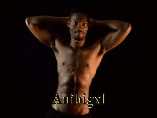 Anibigxl