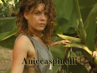 Aniccaspinelli