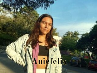 Aniefelix