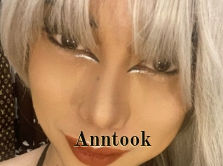 Anntook