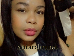 Antarabrunet