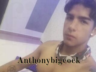 Anthonybigcock