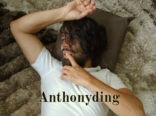 anthonyding Films 2 Q