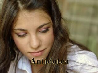 Antidotea