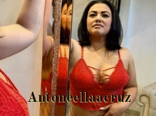 Antoneellaacruz