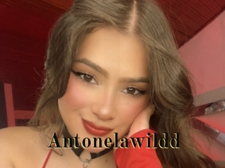 Antonelawildd