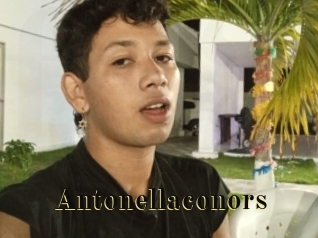 Antonellaconors