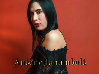 Antonellahumbolt