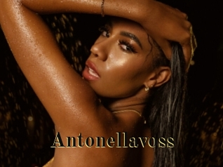 antonellavoss Films 2 Q