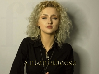 Antoniabeese