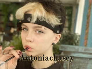 Antoniachasey