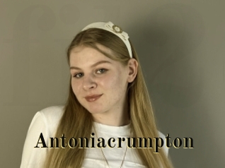 antoniacrumpton Films 2 Q
