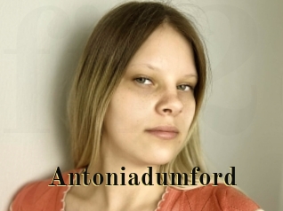 Antoniadumford