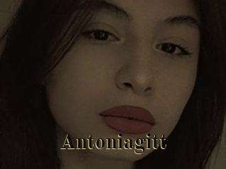 Antoniagitt