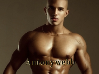 Antonywebb