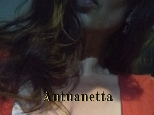 antuanetta Films 2 Q