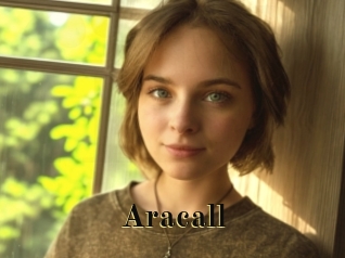 aracall Films 2 Q
