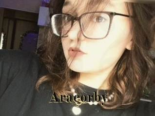 Aracorby