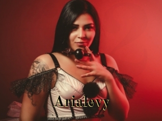 Arialevy