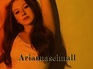 Ariannaschnall