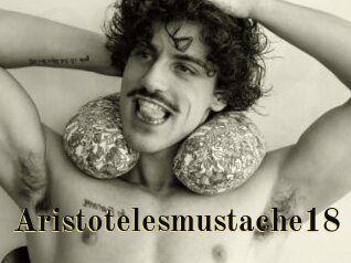 Aristotelesmustache18