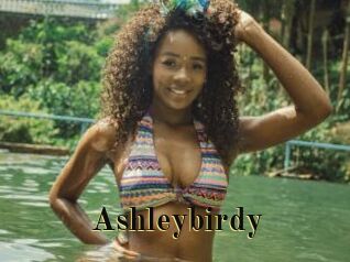 Ashleybirdy