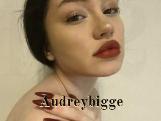 Audreybigge