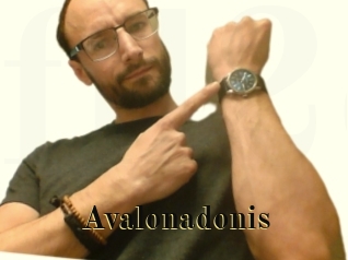 Avalonadonis