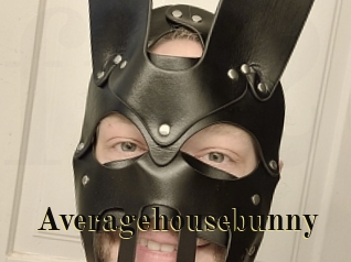 averagehousebunny Films 2 Q