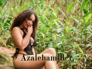 Azalehamiller