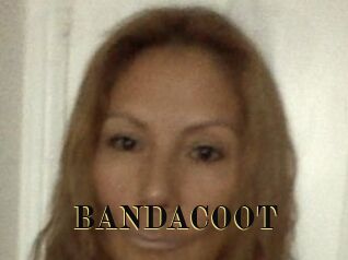BANDACOOT